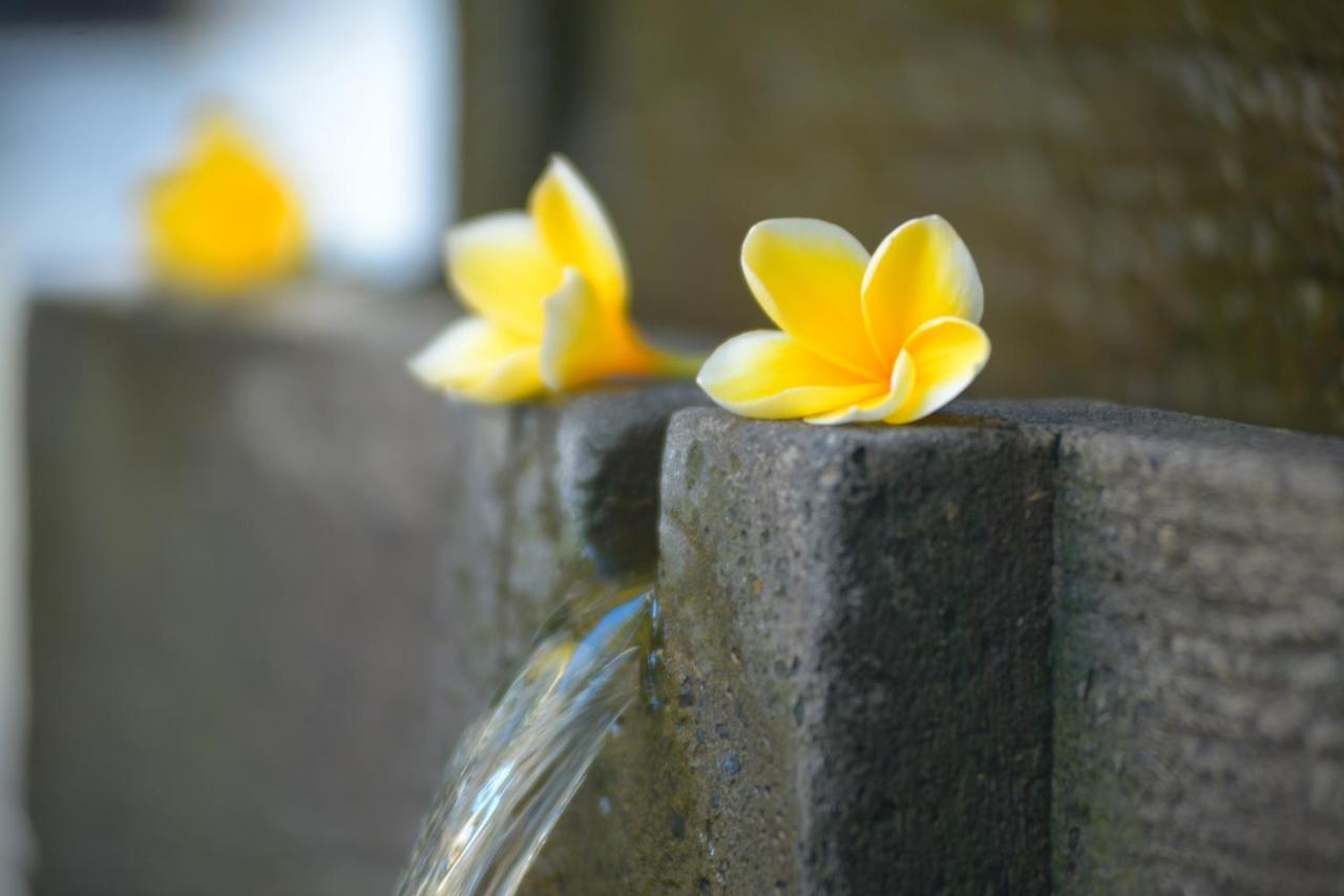Andari Legian Hotel Bali Luaran gambar